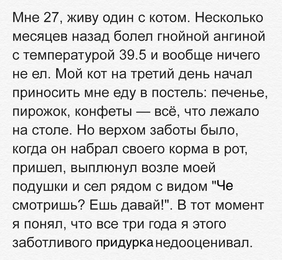  - 30  2018  16:33