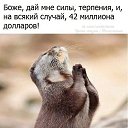 ���� ����, ������� - ��������� 22 ������� 2018 � ������ ������ ��������