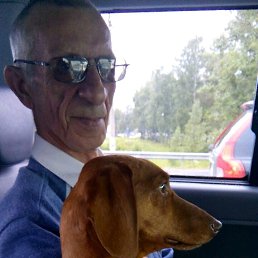 ������, �������������, 66 ���