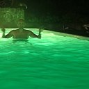 ���� �����, �����������, 41 ��� - ��������� 18 ������ 2018 � ������ ���� ����������