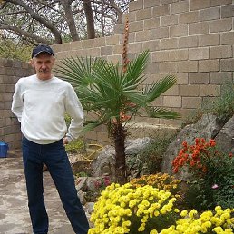 �����, ����