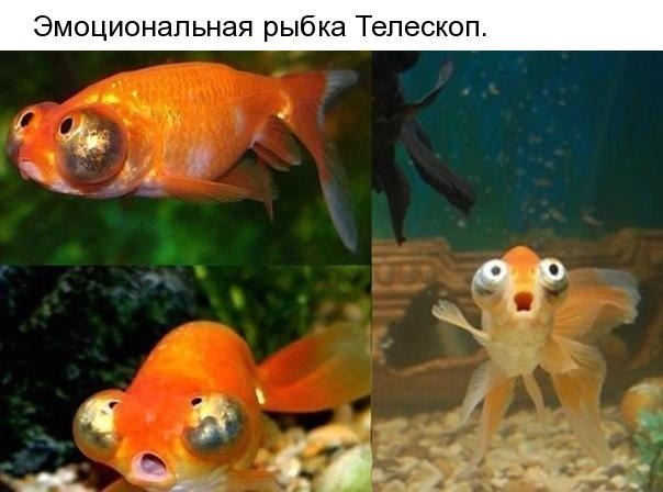   - 9  2018  17:01