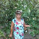 ���� ((( ������ ))), ���������, 50 ��� - ��������� 29 ���� 2018 � ������ ���� ����������