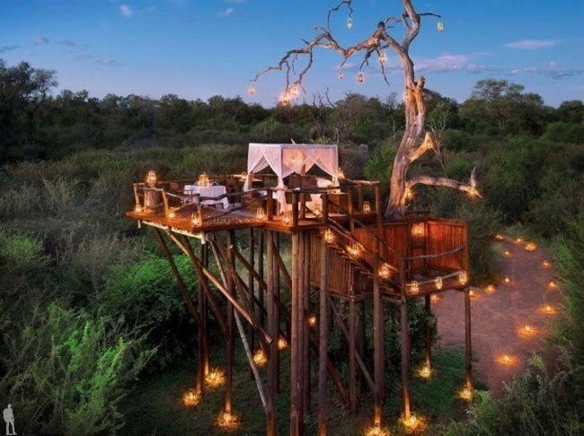  Lion Sands,  . ,       .   ...