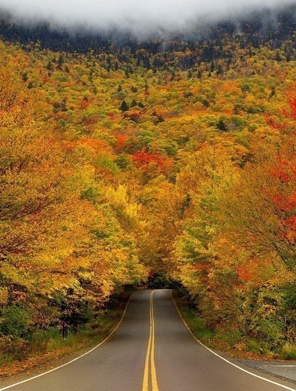 Уж небо осенью дышало... - 3