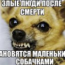 ���� ����, ������������, 39 ��� - ��������� 26 ������ 2019 � ������ ���������