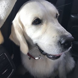 �, ��������, 55 ���