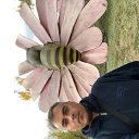 ���� ����, ������������, 50 ��� - ��������� 1 ������� 2018 � ������ ��������� 30.09.2018�