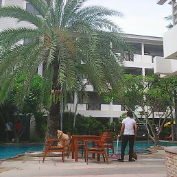 ������, �������, 59 ���