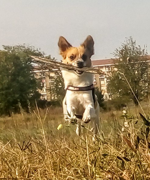 Beppe - 29  2019  10:52 - 2