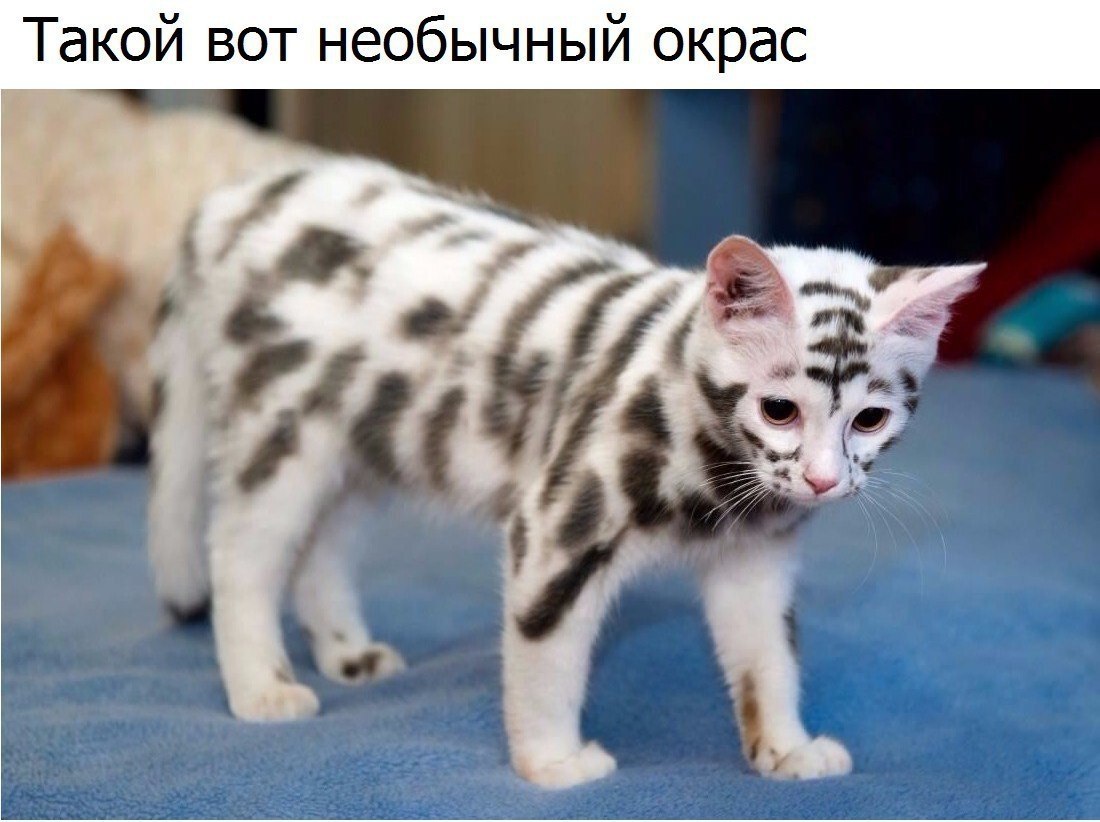  - 7  2019  16:51
