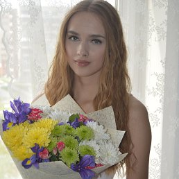 , , 29 