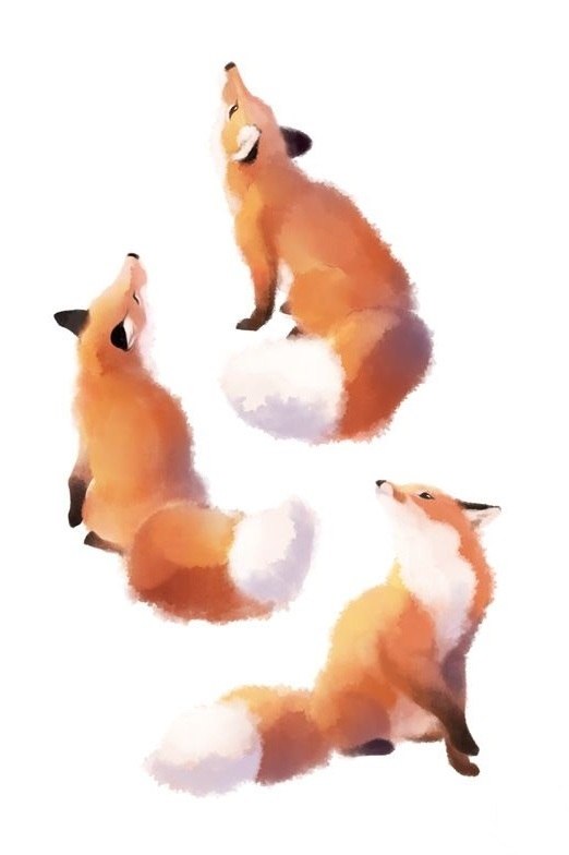   - 5