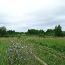 ���� ������, �����������, 72 ���� - ��������� 21 ������� 2018 � ������ ���� ����������