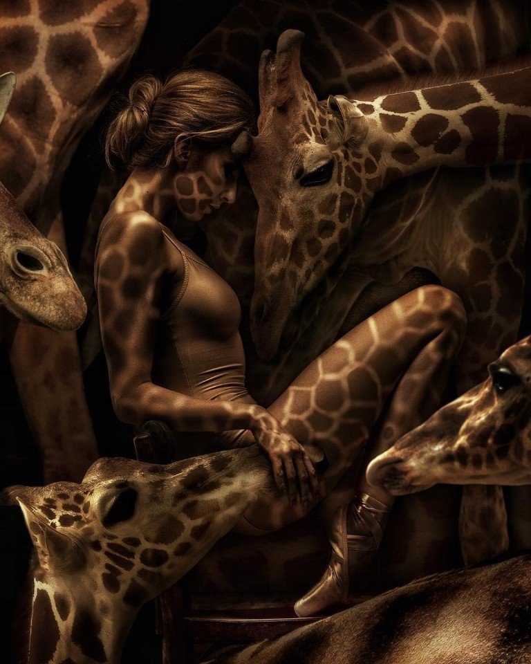         Marcel van Luit.: marcel_van_luit ...