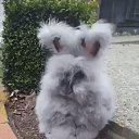 ���� Elena, ��������� - ��������� 23 ������� 2018 � ������ ������