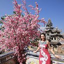 ���� �������, ����� - ��������� 8 ����� 2019 � ������ ���� ����������