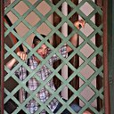 ���� �����, ������, 43 ���� - ��������� 23 ������� 2018 � ������ ���� ����������