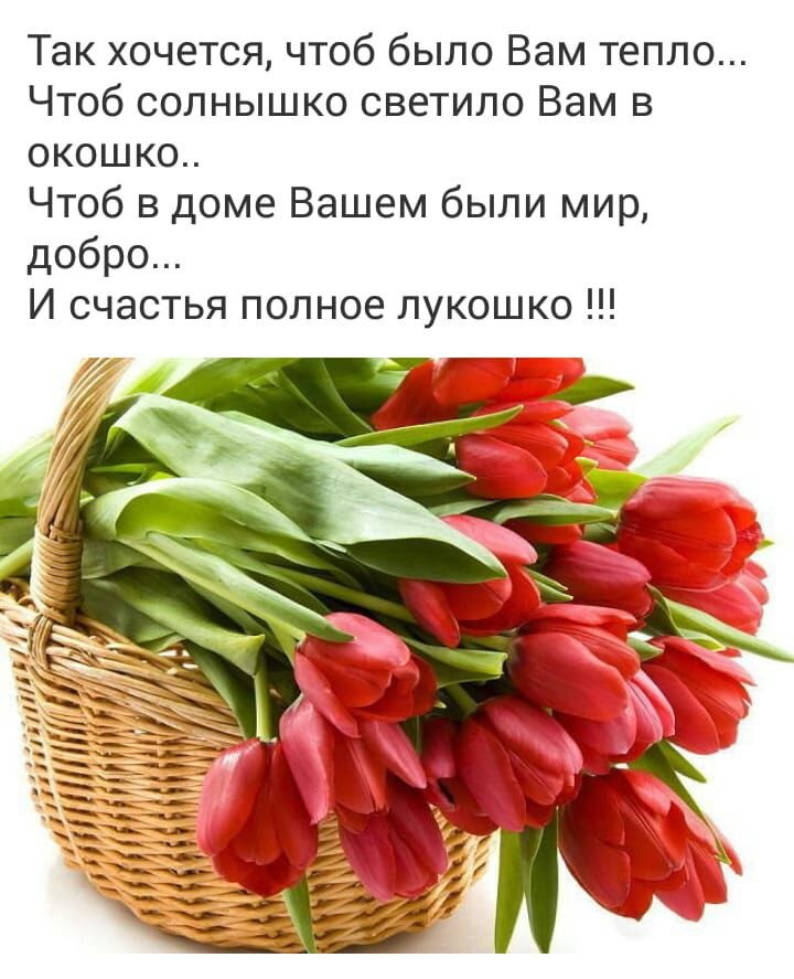   ,    . - 26  2019  09:03 - 2
