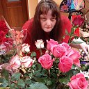 ���� ����, �����-��������� - ��������� 19 ������ 2019 � ������ ���� ����������