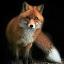 ���� �����, ���������, 59 ��� - ��������� 18 ������ 2018 � ������ ���� ����������