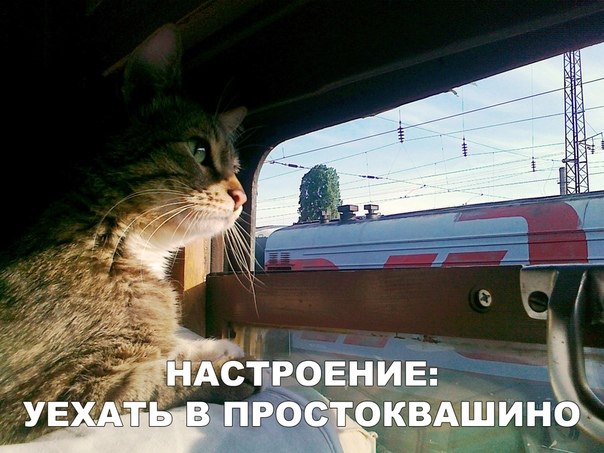 ~**~ - 14  2018  18:46