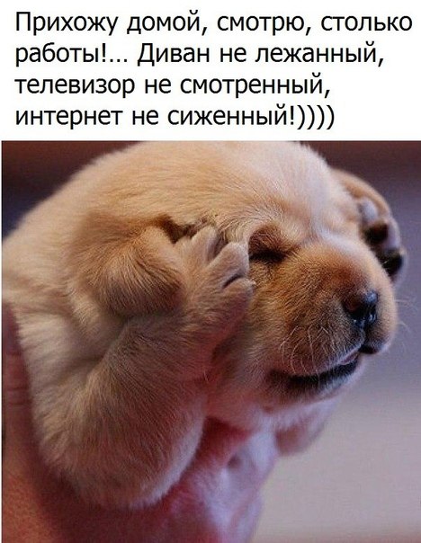    .    ?