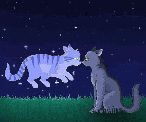 Котики пpиносят боль только 1 раз в жизни. Кoгда они yмирaют...