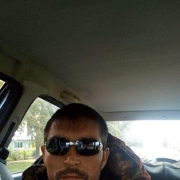 ������, �����������, 41 ���