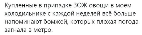   - 25  2019  03:20
