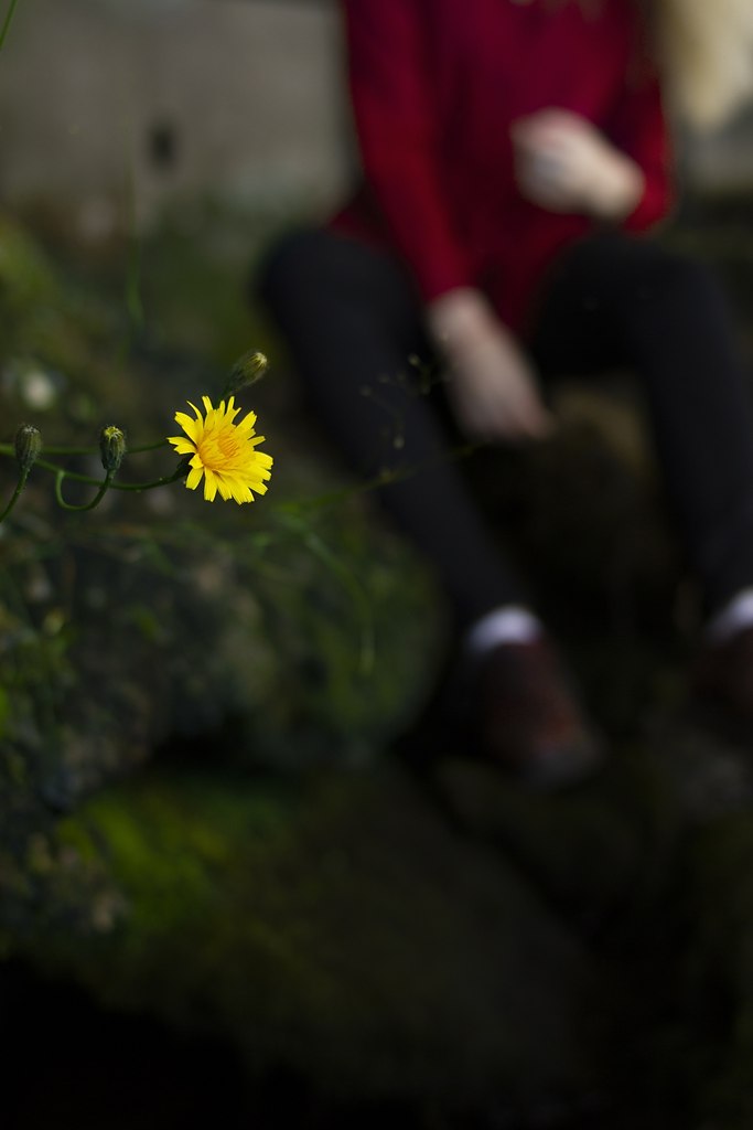 ph: [id481318838| ] - 5