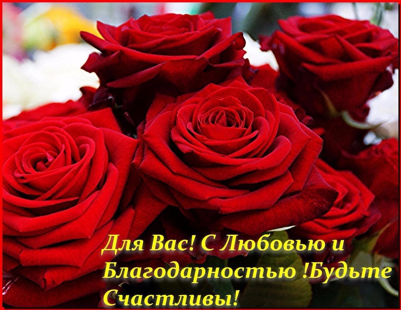   ,    . - 18  2019  21:44