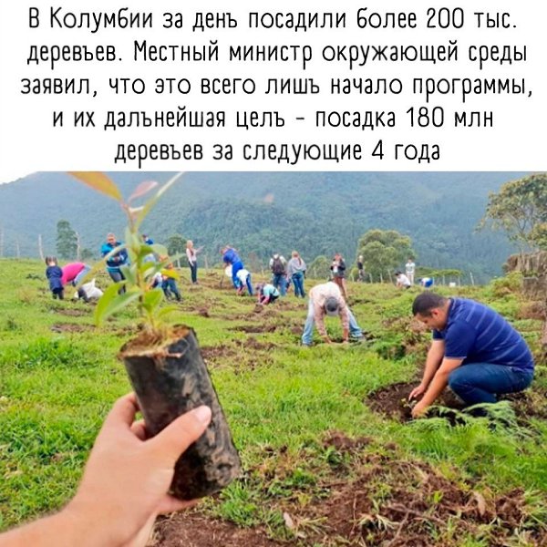      :