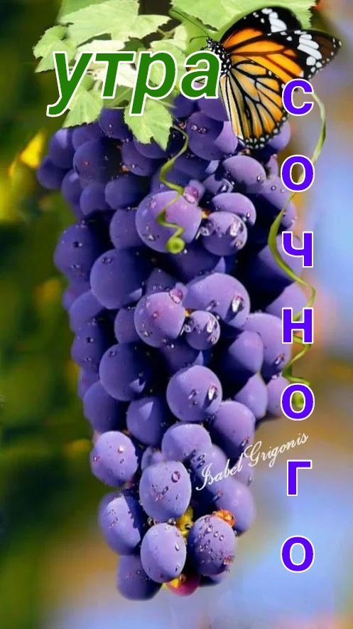   ,    . - 8  2019  09:38 - 2