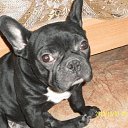 ���� Mr., ������ - ��������� 24 ������ 2019 � ������ ���� ����������