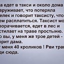 ���� ���������, ������� - ��������� 2 ������� 2019 � ������ ������ ��������
