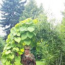  , , 68  -  4  2019    2019