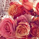 ���� �������, �������� - ��������� 27 ������ 2019 � ������ ������ ��������