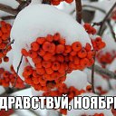  , , 64  -  11  2019    