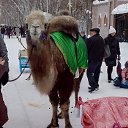 ���� ����, ���� - ��������� 2 ������ 2020 � ������ ���� ����������