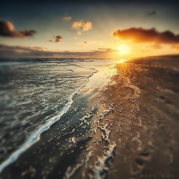 u  ,   u,   u u,  u   , ...