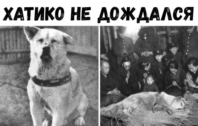    :D - 5  2019  18:51
