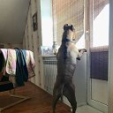 ���� ������, �����������, 66 ��� - ��������� 31 ����� 2019 � ������ ���� ����������