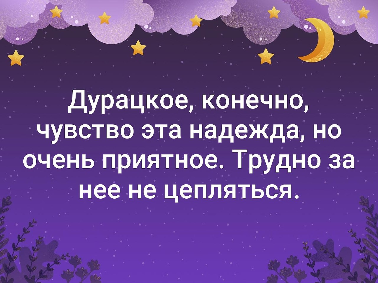 . - 12  2019  19:11