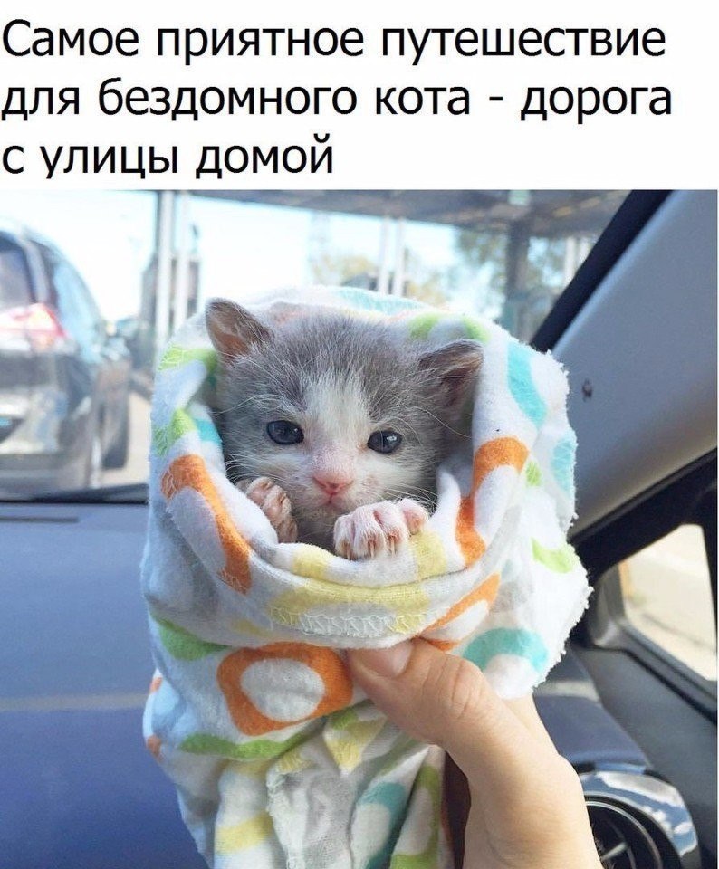  ! - 28  2019  09:46