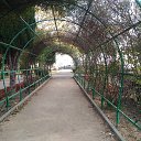 , ,03.11.19.9.00.   , 2019