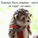 ���� ��������)....., ������������ - ��������� 18 ��� 2019 � ������ ������ ��������