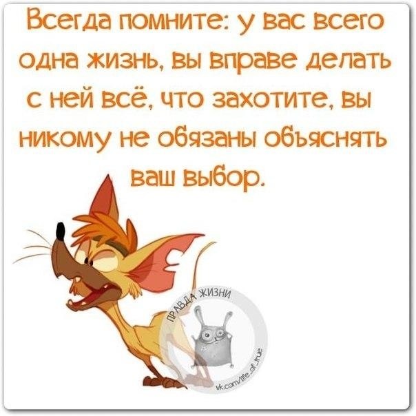   - 8  2019  18:49