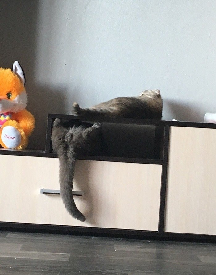 . .