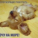 ���� ������, ������ - ��������� 25 �������� 2019 � ������ ������ ��������
